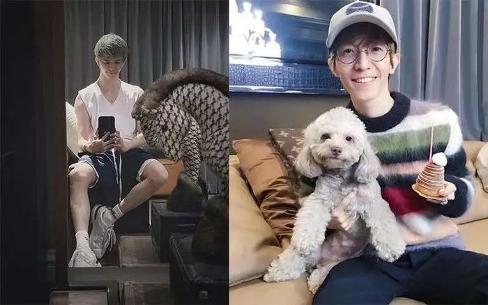 脖子粗男明星_脖子粗可以通过健身变细吗_明星健身后脖子粗