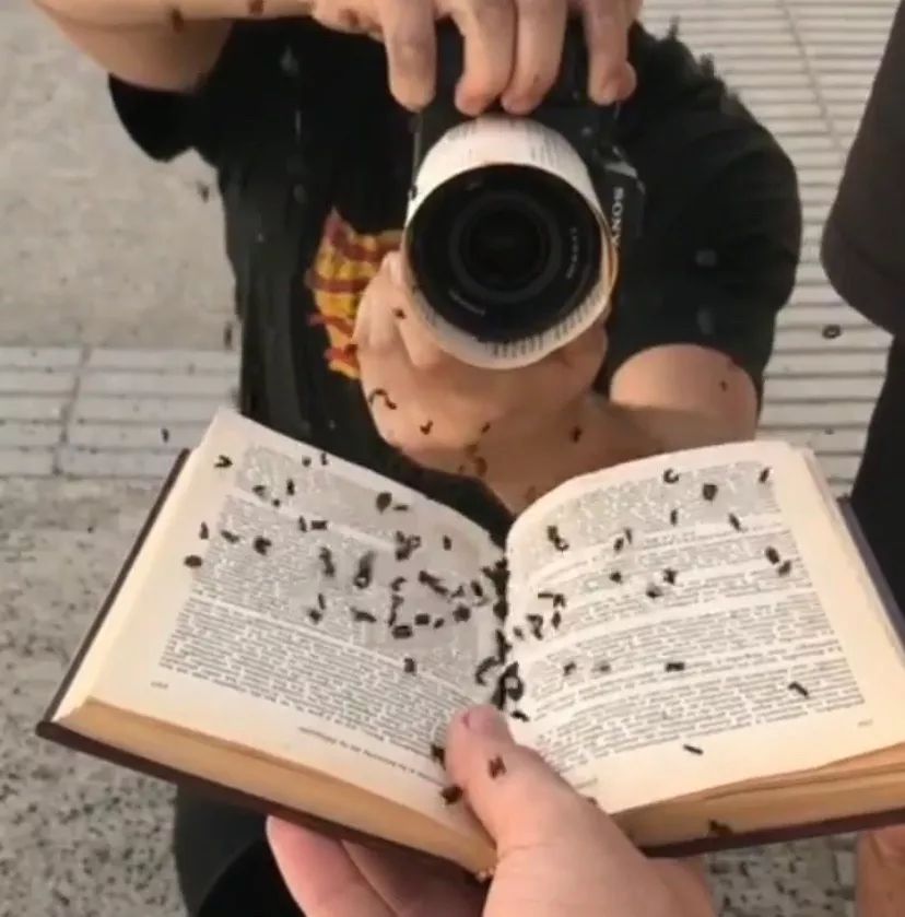 简单又漂亮的飞镖教学_生活小技巧飞镖教程_教做飞镖