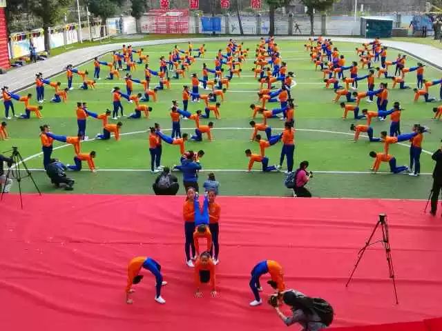 体操基本动作的组合_体操基本动作术语_学生体操基本动作