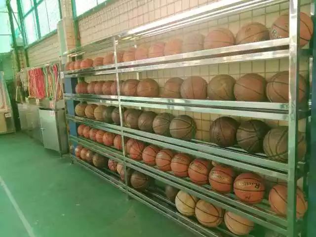 体操基本动作的组合_体操基本动作术语_学生体操基本动作